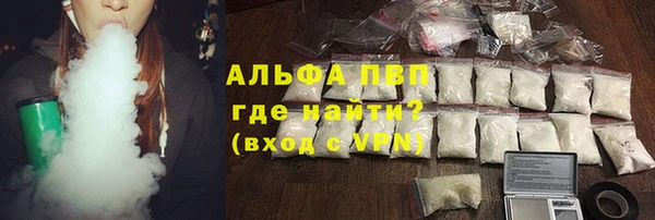 МДПВ Каменка