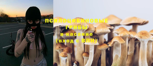 MESCALINE Инсар
