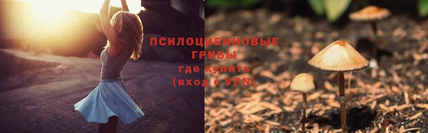 тгк Иннополис