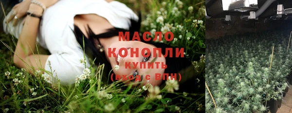 МДПВ Каменка