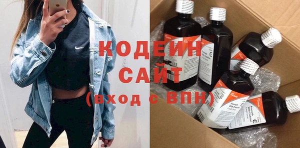 МДПВ Каменка