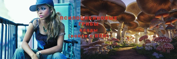 PSILOCYBIN Каменск-Шахтинский